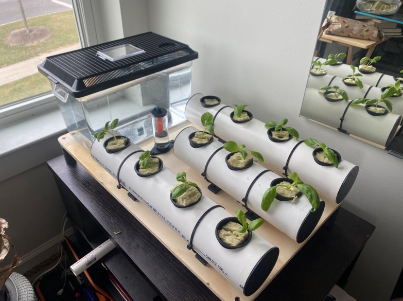 Final Assembly Image